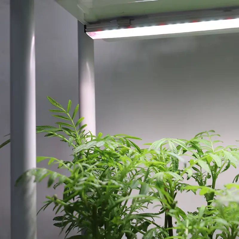 Movable Vertical Grow 3 Level  - đánh giá và giá Self-Watering Planter